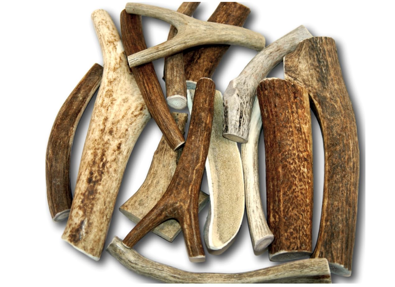 Top Dog Chews – cornes elan et cerf, assortiment 1 lb, mordillage durable