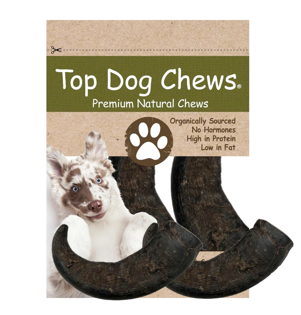 Top Dog Chews corne buffle eau format moyen favorisant mordillage prolongé.