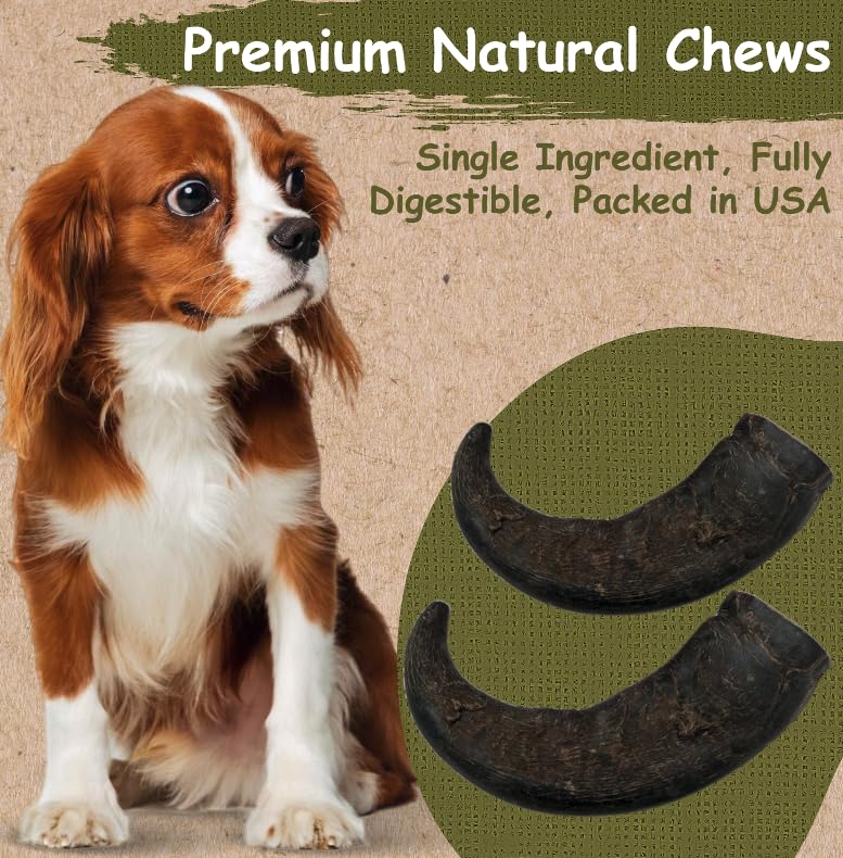 Top Dog Chews corne buffle eau format petit idéal pour petites bouchées résistantes.