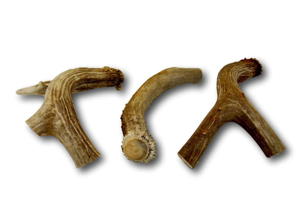 Top Dog Chews – cornes sans odeur, alternative naturelle pour chiens sensibles