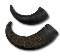 Top Dog Chews corne buffle eau naturelle soutient la santé dentaire et haleine fraîche.
