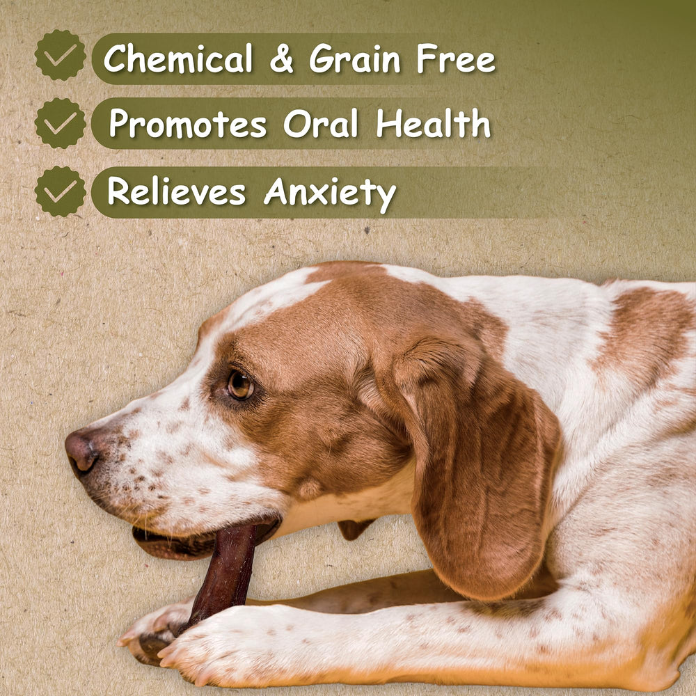 Emballage sachet 1,3 lb montrant le produit Top Dog Chews.