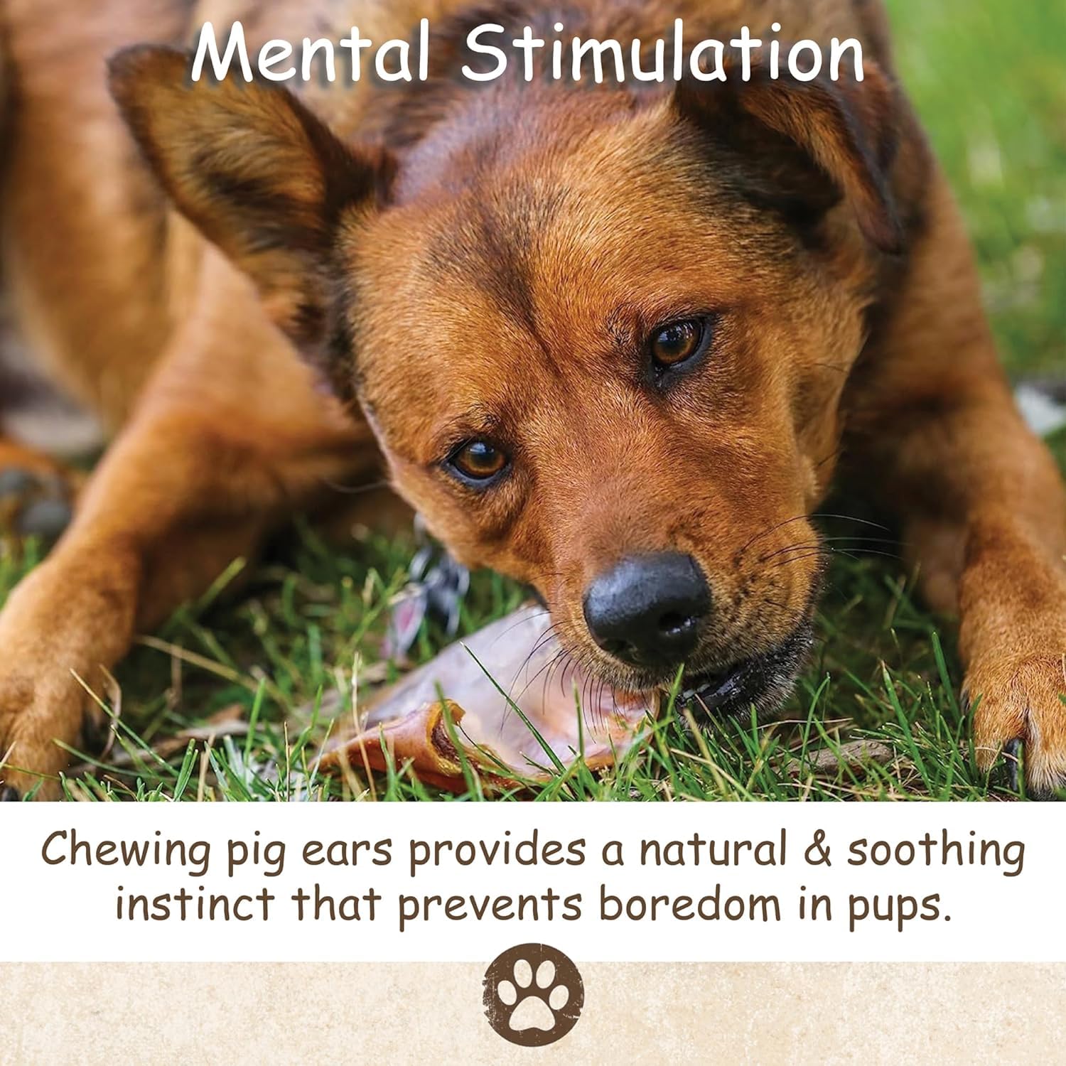 Top Dog Chews entretien dentaire chiens — potentiel soutien au nettoyage.