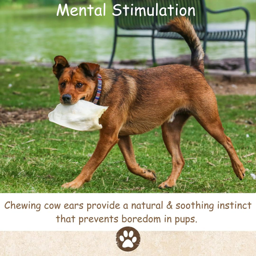 Top Dog Chews oreilles boeuf sans additifs, option naturelle.
