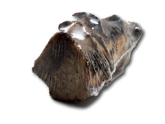 Top Dog Chews – tranche droite d'os boeuf moelleux, distraction et plaisir