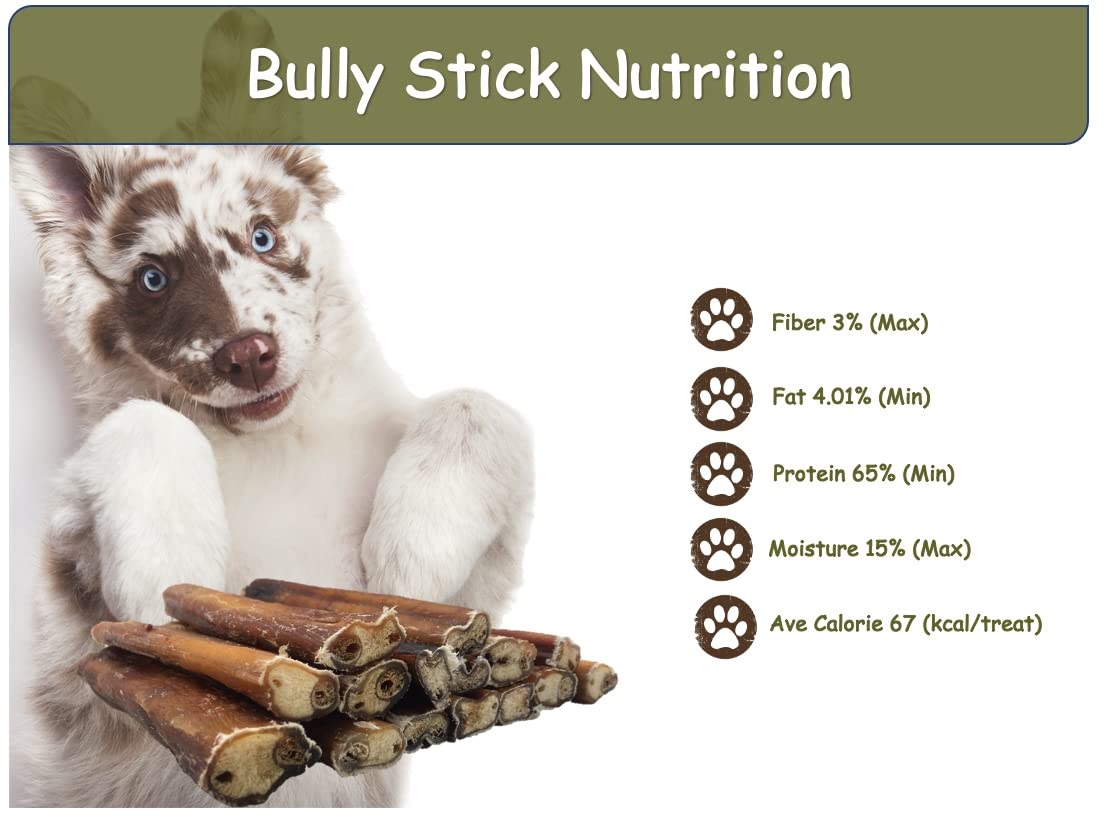 Top Dog Chews Pizzle de Boeuf Naturel, sans cuir brut