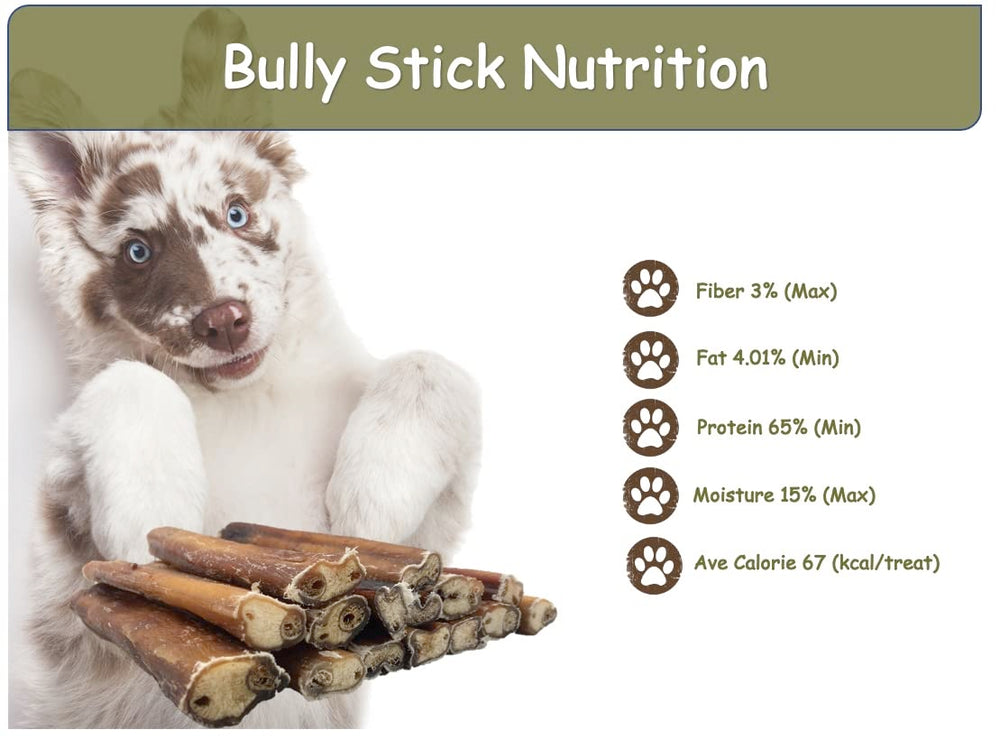 Top Dog Chews Pizzle de Boeuf Naturel, sans cuir brut
