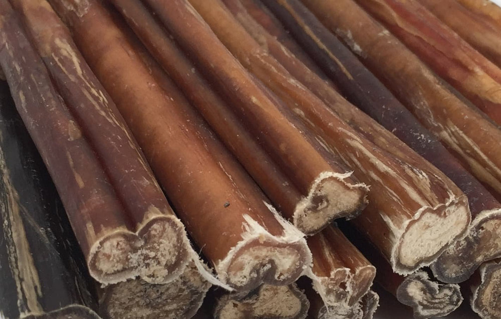 Soutien dentaire potentiel avec mastication Top Dog Chews.