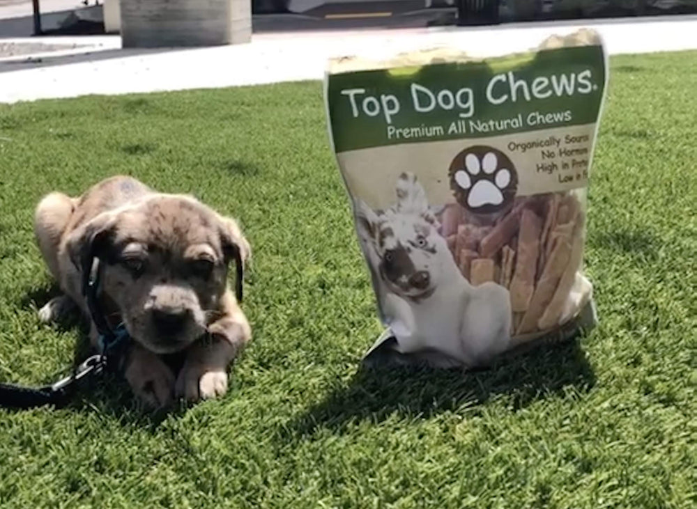 Top Dog Chews Tendons Dinde Entrainement Recompense : utile pour l'apprentissage et la motivation.