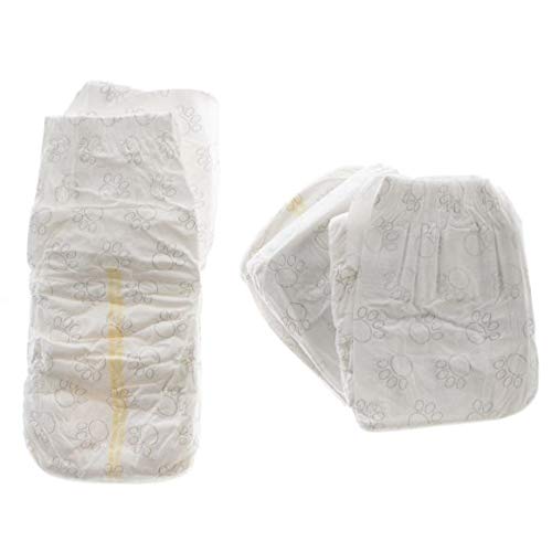 Top Paw couches jetables pour chien X-Large, confort doux et absorption rapide.