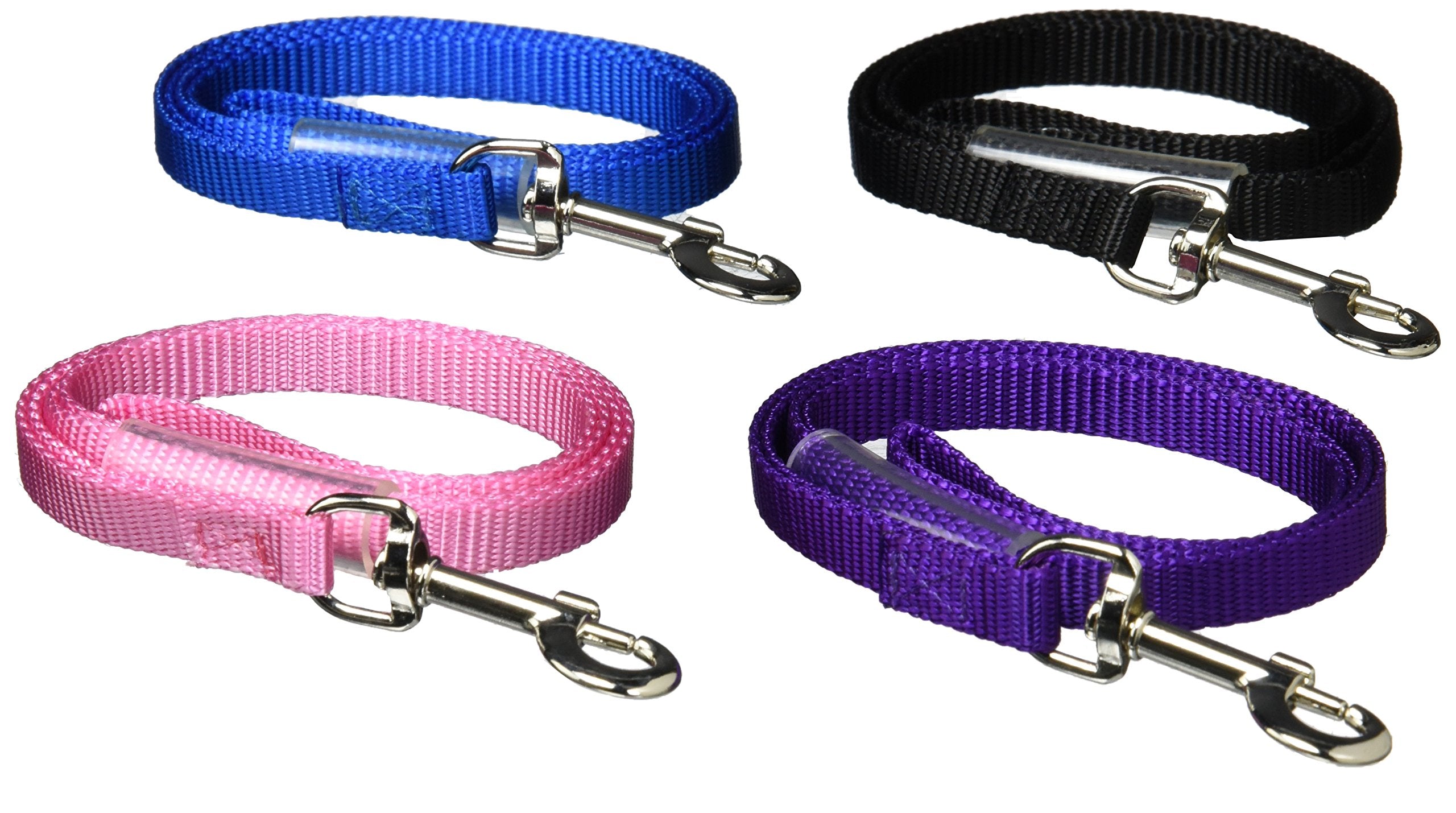 Top Performance Basic: boucles en nylon bleu robustes pour toilettage.