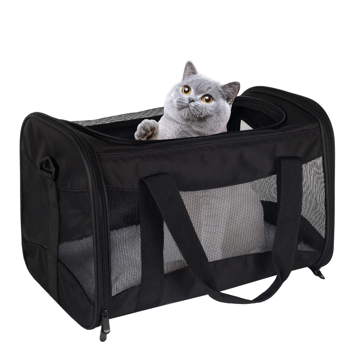 Top tasta sac transport chat avion approuvé sous siège pour voyages.