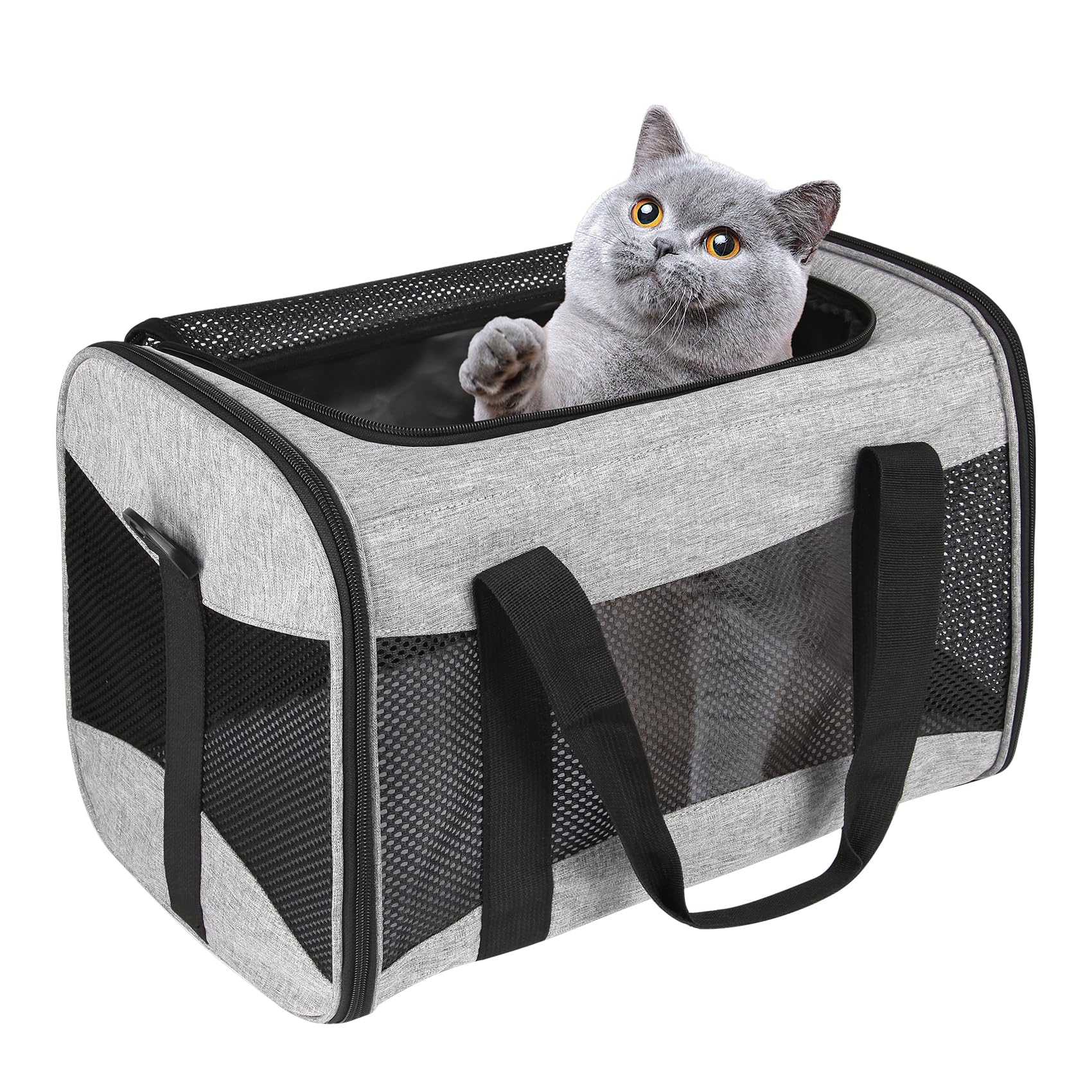 Top Tasta sac de transport chat avion autorisé, idéal pour voyager.