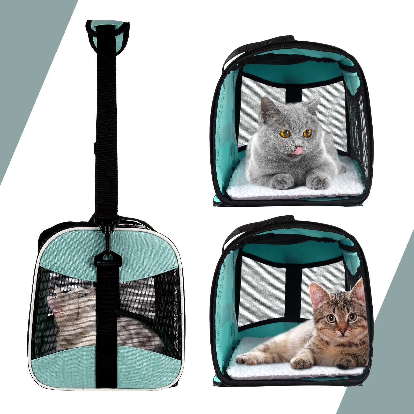 Top Tasta transporteur – coussin en laine amovible et lavable.