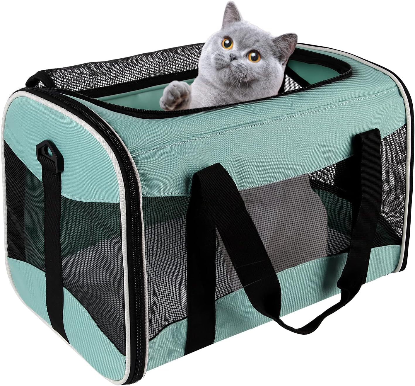 Top Tasta transporteur – dimensions 38x25x25 cm pour animaux jusqu’à 4,5 kg.