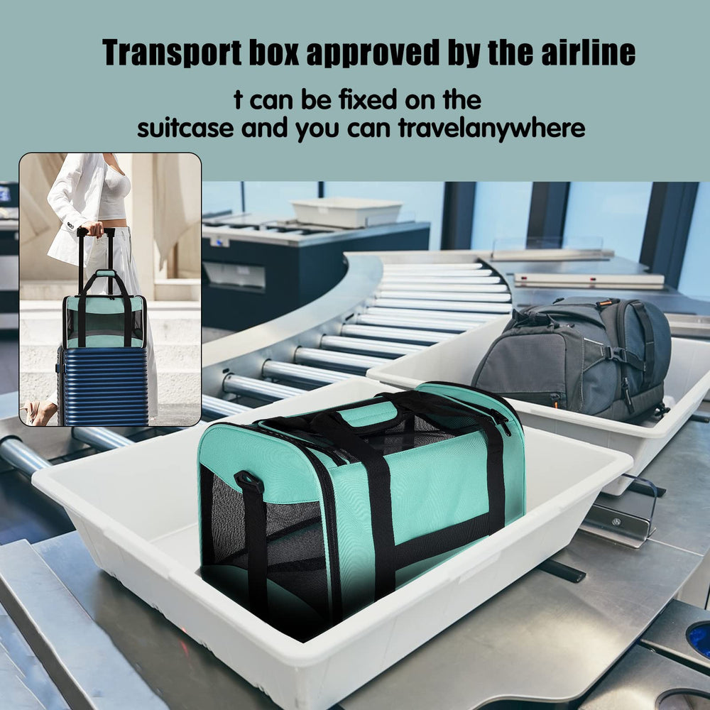 Top Tasta transporteur – pliable pour rangement facile.