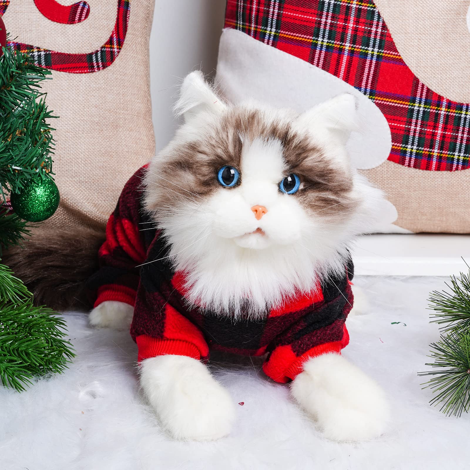 Topbuti cadeau idéal pour chiens et chats festifs.