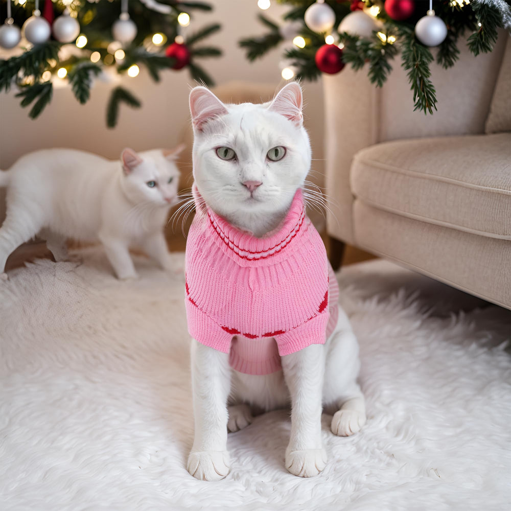 Topbuti pull cadeau noel chien chat idéal fêtes.