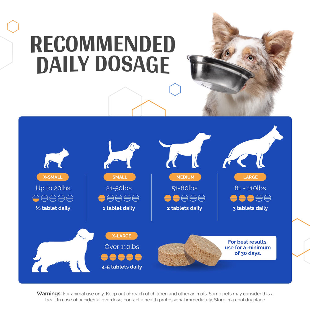 Chien qui grignote GlycanAid, repas quotidien savoureux
