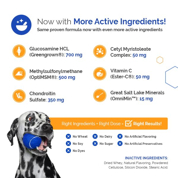 TopDog Health GlycanAid Maintenance – goût apprécié chien, administration facilitée