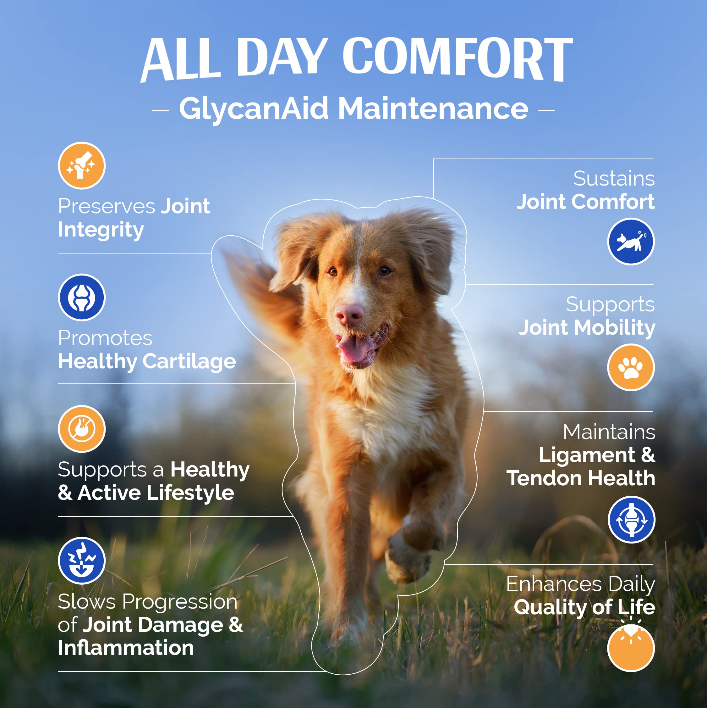 TopDog Health GlycanAid Maintenance – ingrédients glucosamine-chondroitine-msm pour articulations