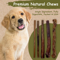Top Dog Chews: bâtonnet bully 12 pouces longue durée, mastication soutenue et satisfaisante.