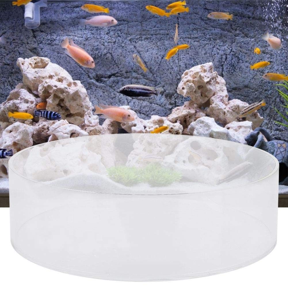 TOPINCN Viewer Poisson, images claires pour photos sous-marines dans l'aquarium.