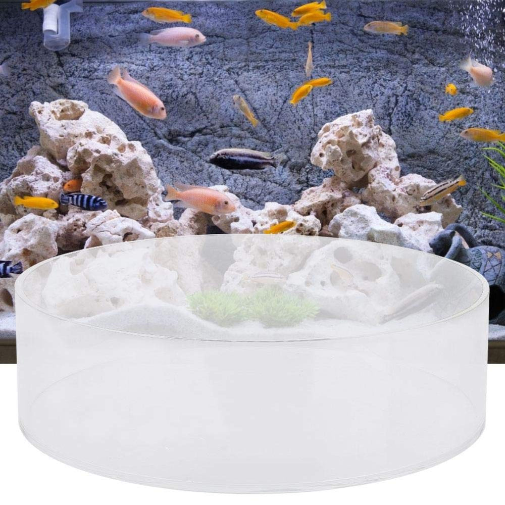 TOPINCN Viewer Poisson, images claires pour photos sous-marines dans l'aquarium.