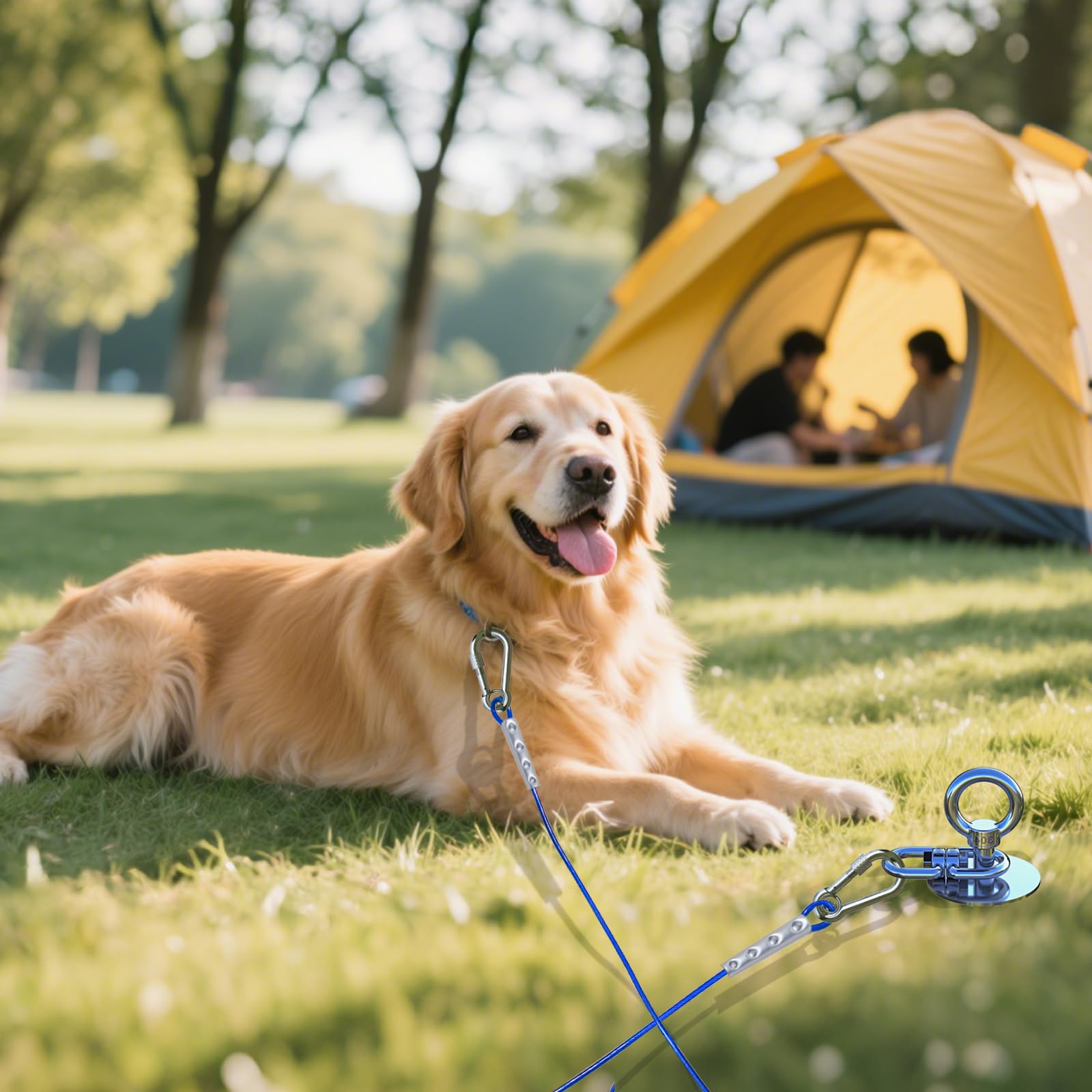 TOPKNOT garantie-service-chien: assistance réactive et fiable
