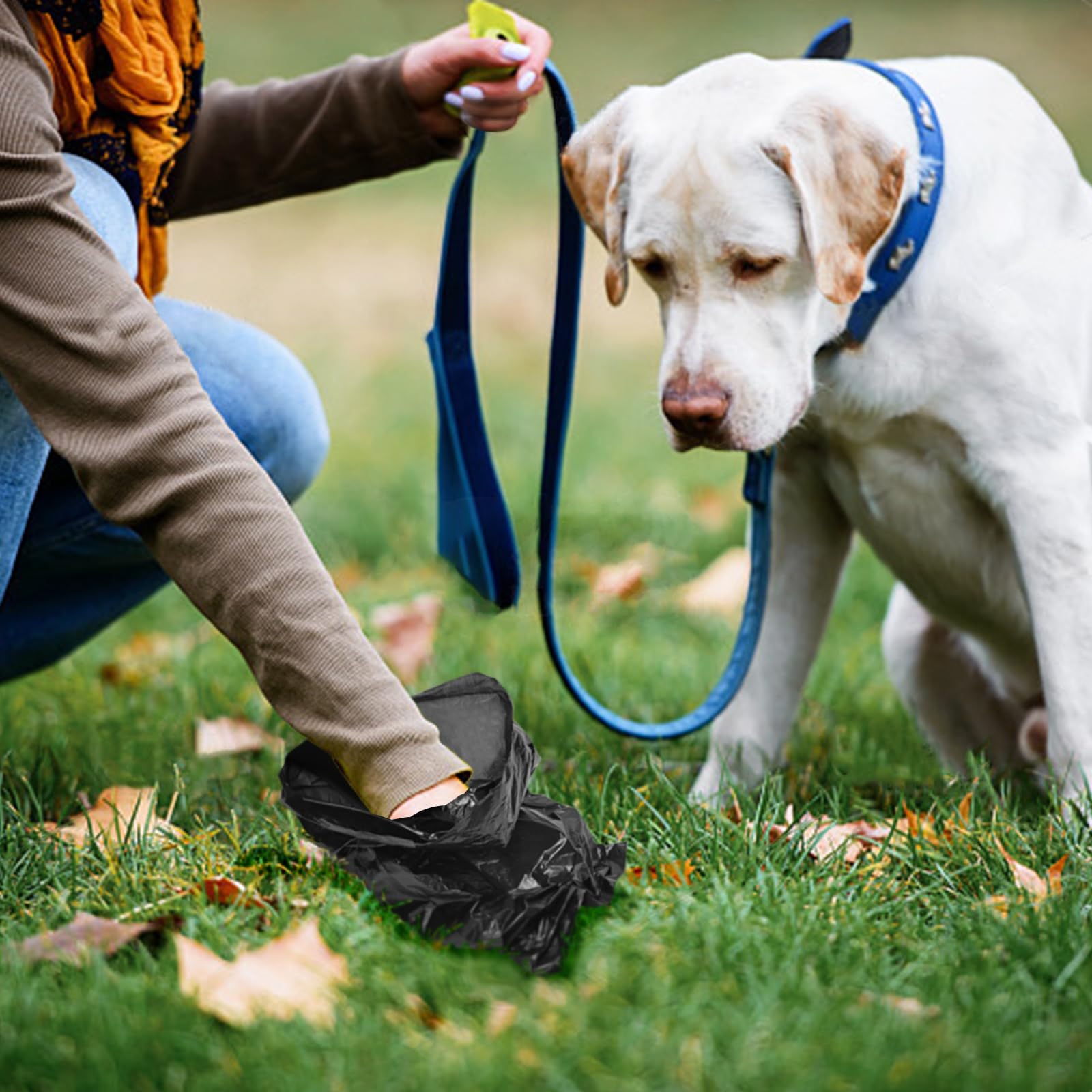 Toplive sacs pour promenades en plein air, pratique et propre.