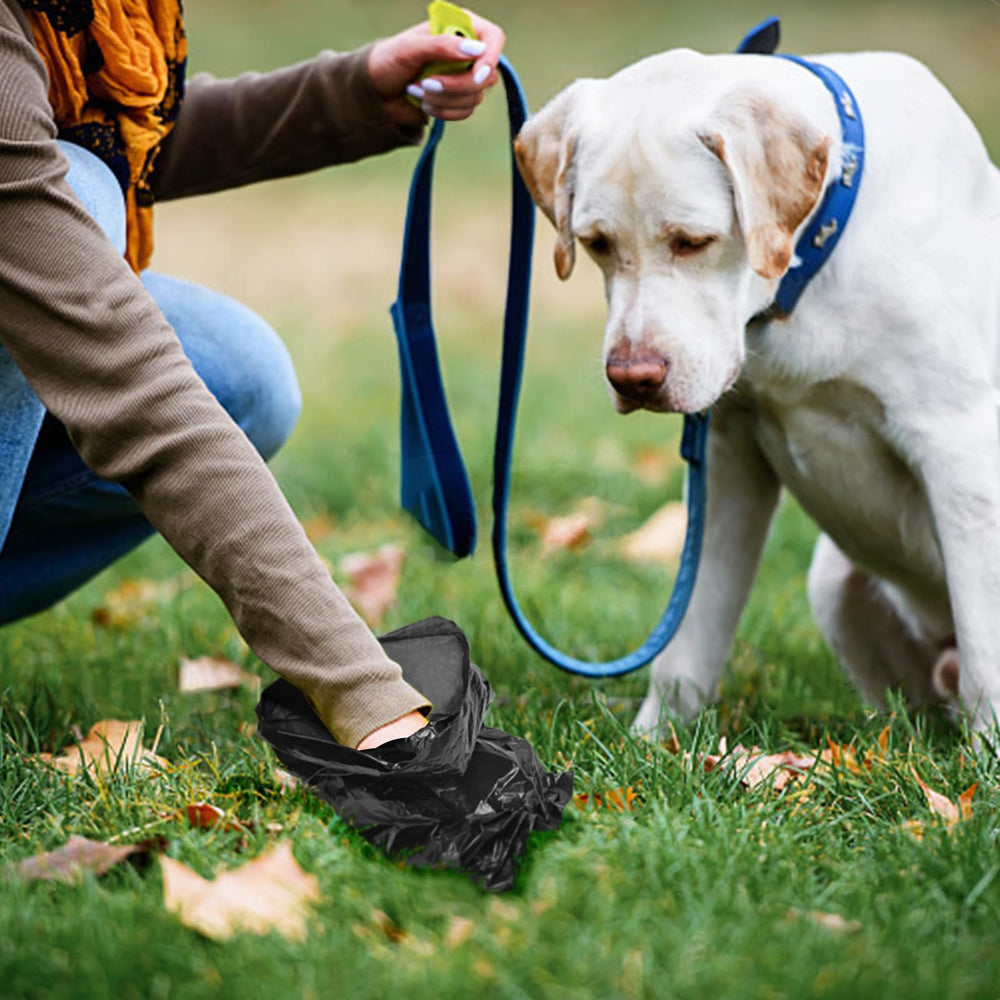 Toplive sacs pour promenades en plein air, pratique et propre.