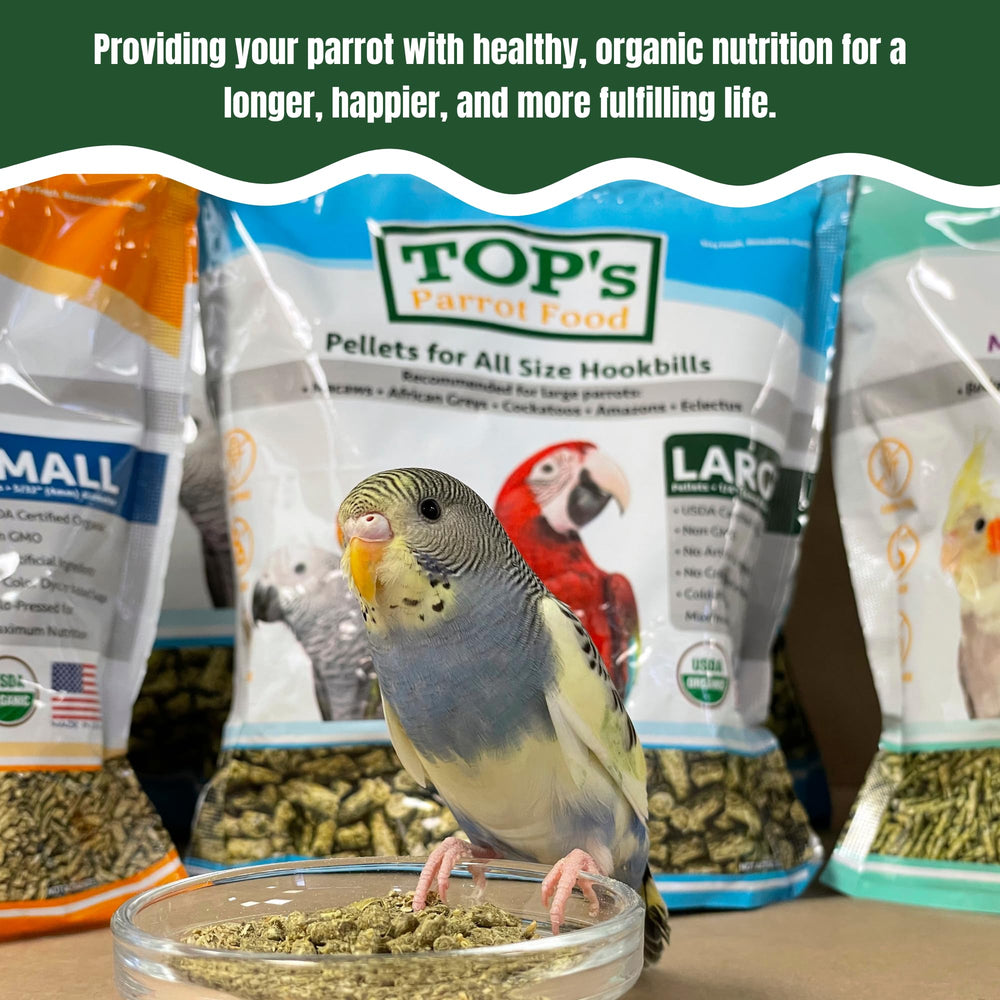 Absence d’additifs artificiels dans TOP's Parrot Food Hookbills