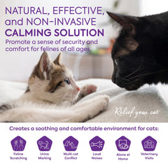TopSum diffuseur chat, recharge phéromones calmes pour réduire le stress.