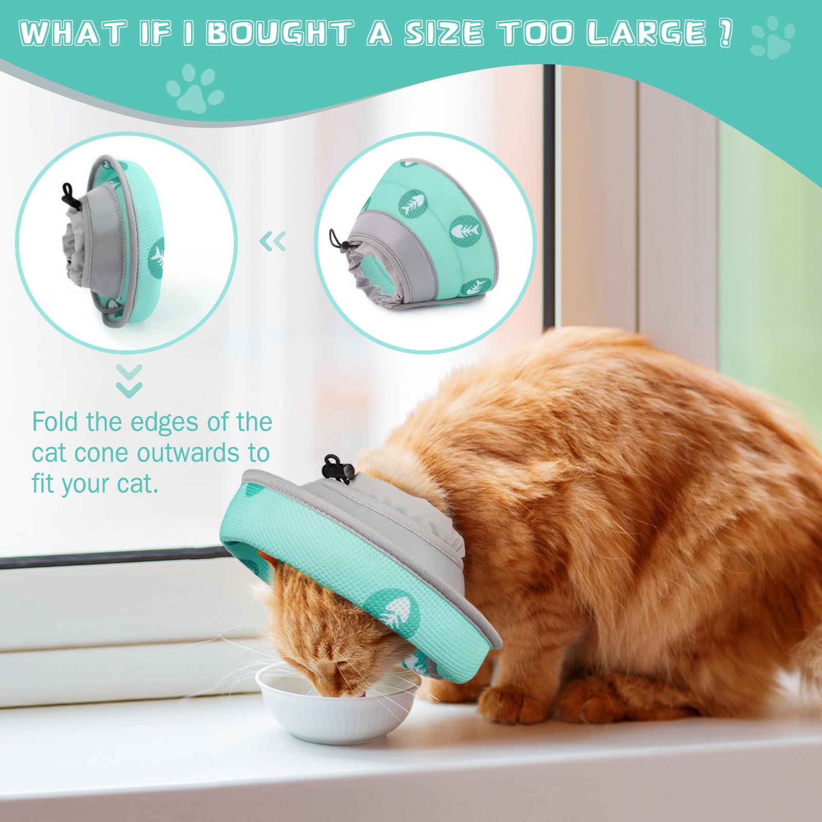 Toptakeit collier-cone chat léger et doux en EPE pour le confort quotidien