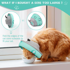 Toptakeit collier-cone chat léger et doux en EPE pour le confort quotidien
