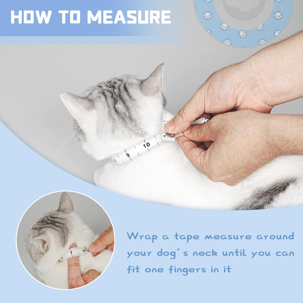 Toptakeit collier conique réduit le stress du chat pendant la récupération.
