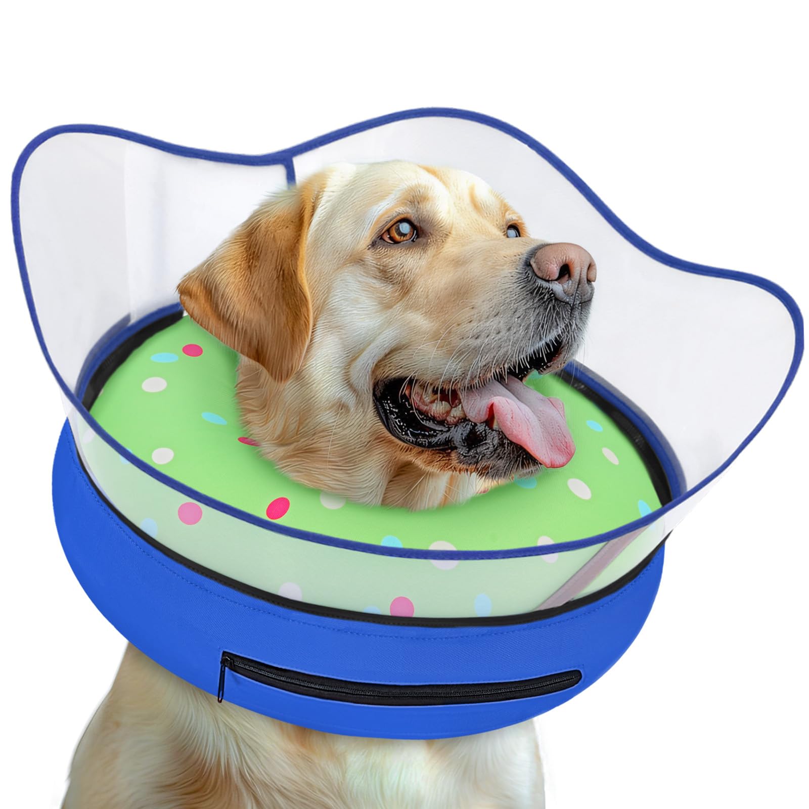 Toptakeit collier donut gonflable sur petit chien, confort et sécurité post-chirurgie