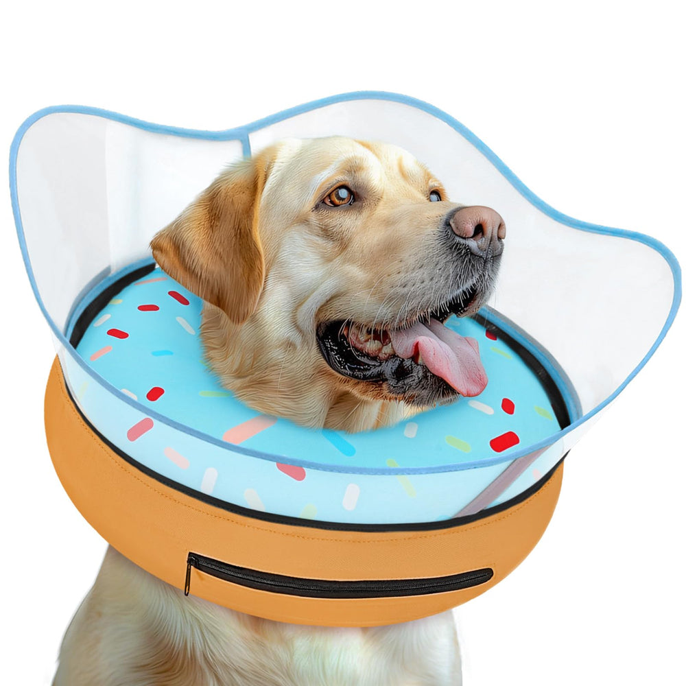 Toptakeit collier-donut post-chirurgie: soutien confortable et sécurisé.