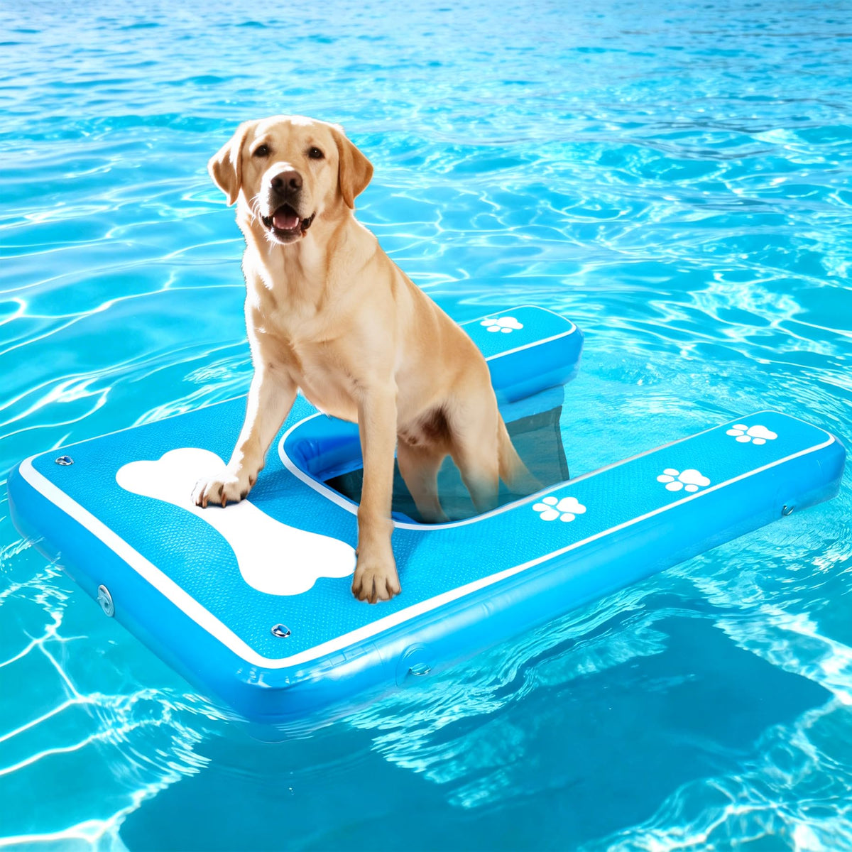 Toriexon rampe chien-bateau 60x42 securise l entree dans l eau.