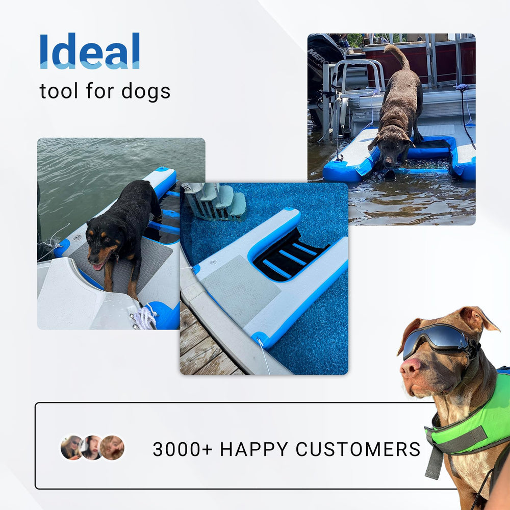 Toriexon rampe chien-piscine antidérapante, aide votre chien à sortir de l eau.