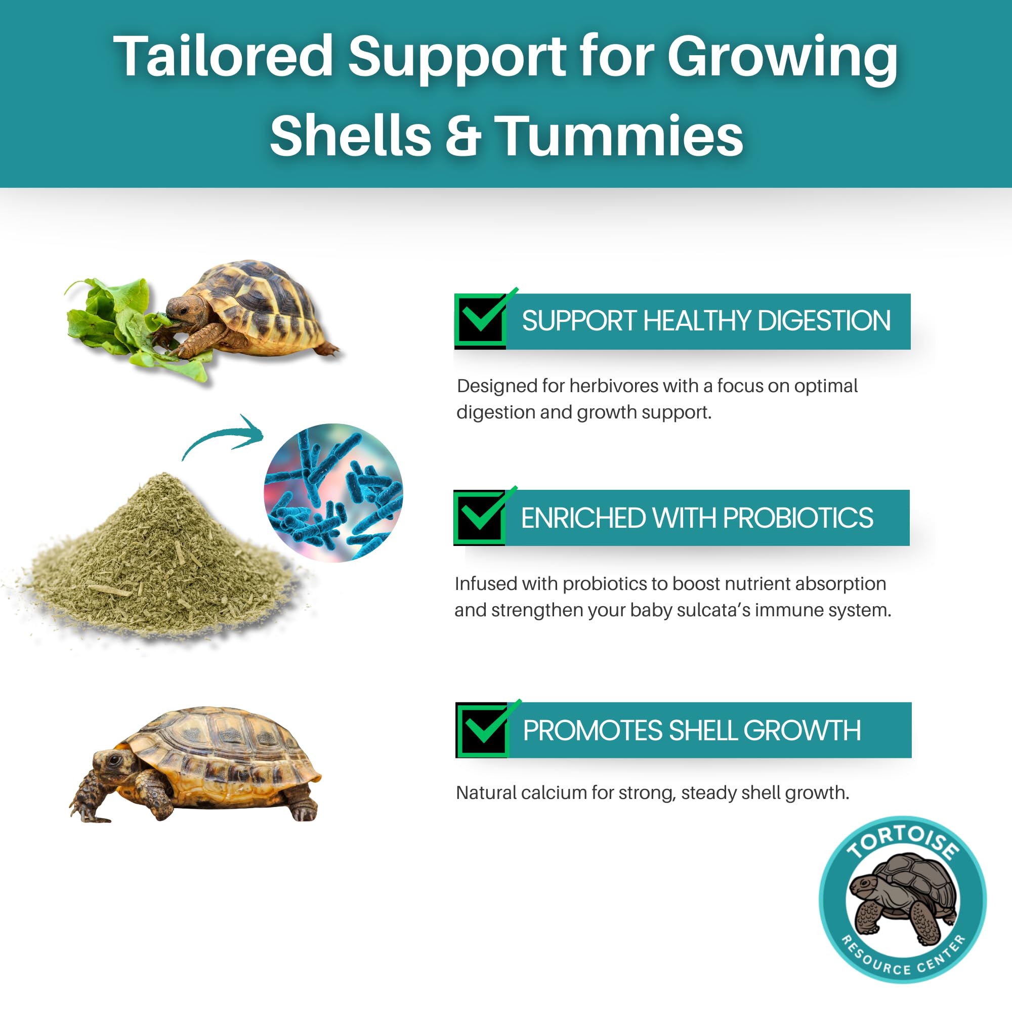 Tortoise Resource Center – calcium et minéraux pour carapace et os solides.