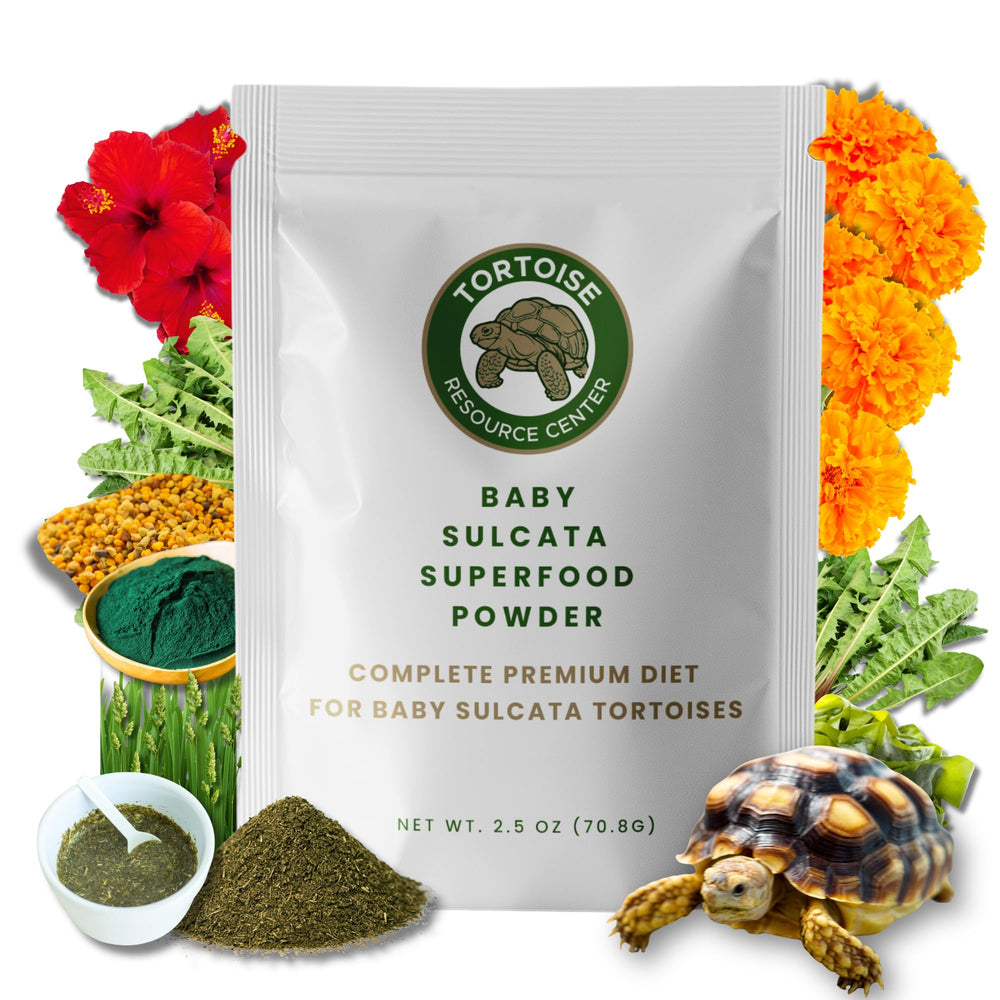 Tortoise Resource Center – poudre bébé sulcata calcium pour croissance saine.