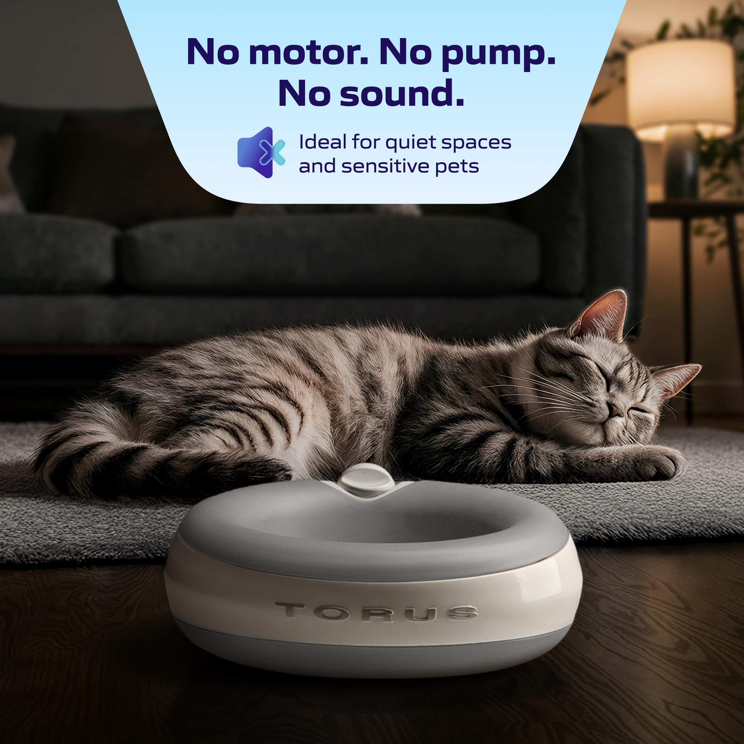 Torus Pet convient pour chiens moyens et grands, compagnon fiable au quotidien.
