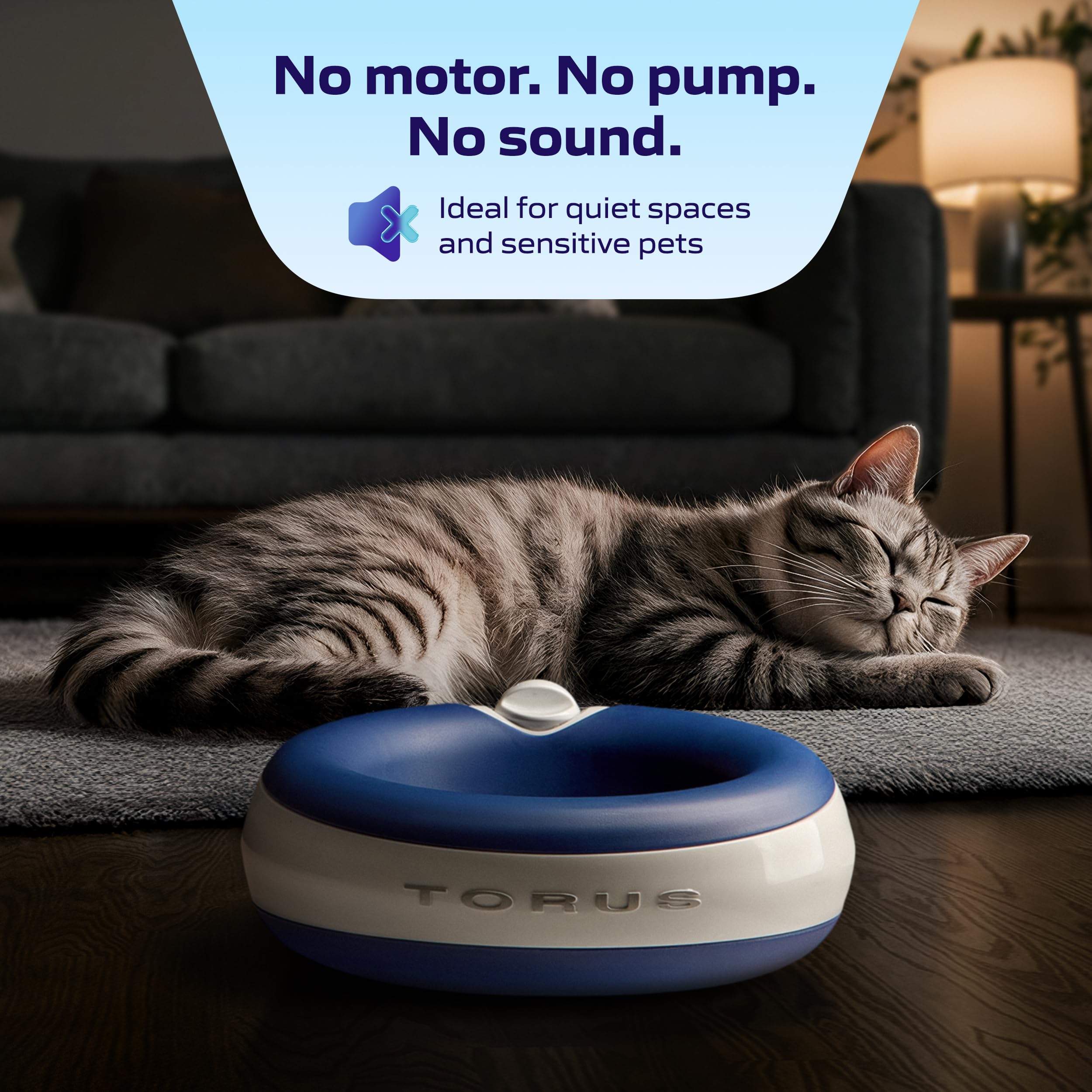 Hydratation lors promenades et voyages avec Torus Pet, pratique et portable.