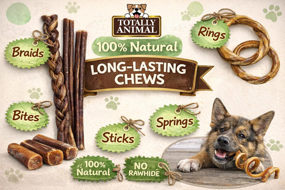 Totally Animal Bully Sticks sans cuir naturel, option saine pour mastiquer.