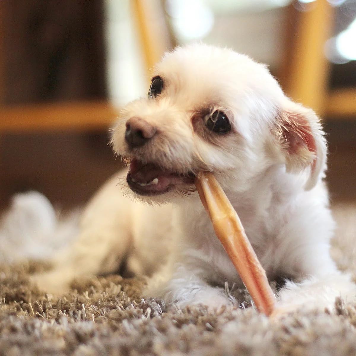 Totally Animal Bully Sticks saveur boeuf naturelle, friandise nutritive pour chiens.