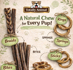 Totally Animal Bully Sticks texture riche et goût boeuf naturel, plaisir de mastication.