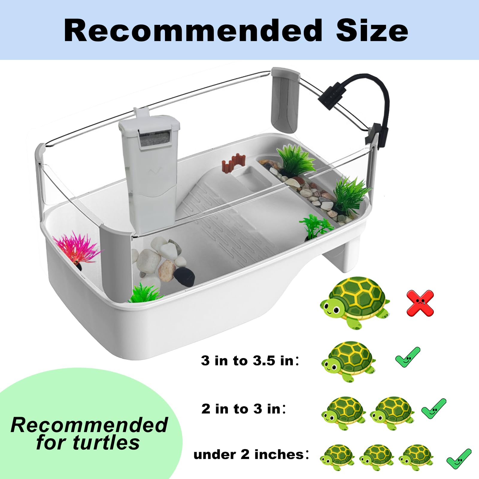 Totzliian tortue, plantes décoratives pour cachettes et ambiance naturelle.
