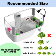 Totzliian tortue, plantes décoratives pour cachettes et ambiance naturelle.