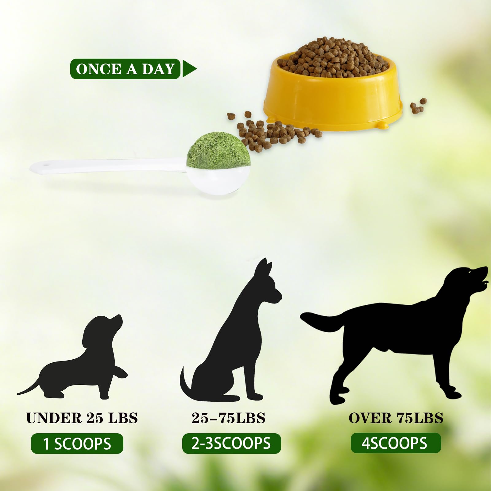 Tovaginsh DogBiotics – pot de poudre dentaire pour chiens.